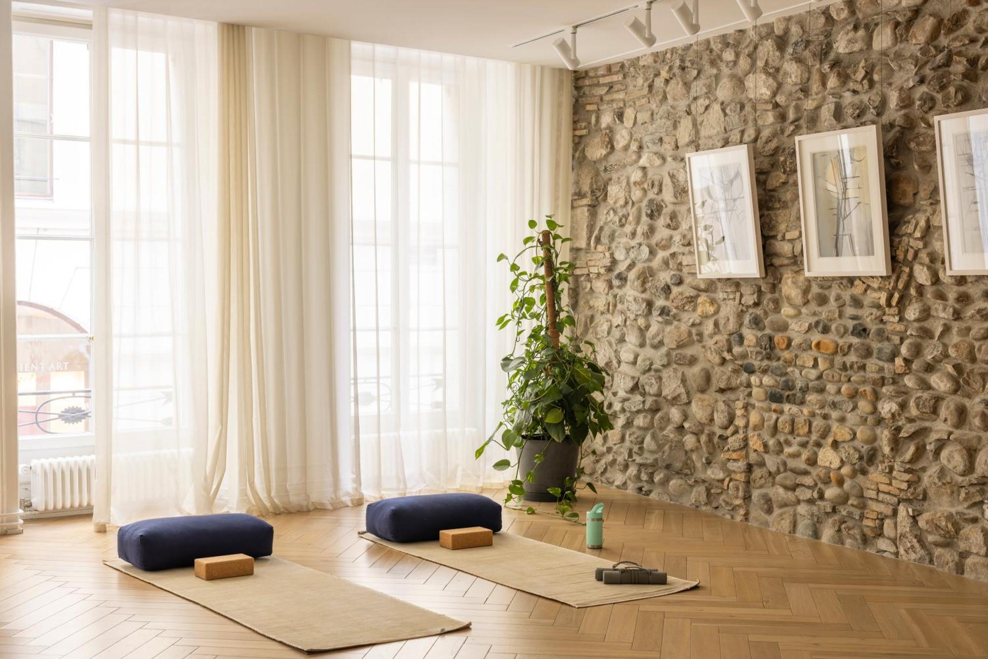 The Hamlet Aparthotel Genève Buitenkant foto